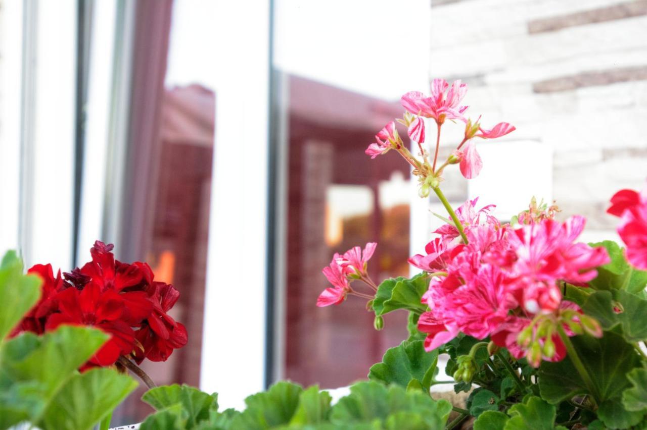 Spiridoula'S Apartments Corfu Perama (Corfu) Exterior foto